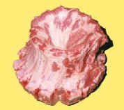 pork crown roast_20.jpg (13983 bytes)